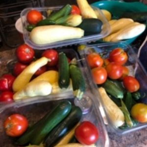 Food Preservation Doesn’t Have To Be Go Big or Go Home Image